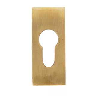 Dauby Piece of safety rosette brushed brass (OS)