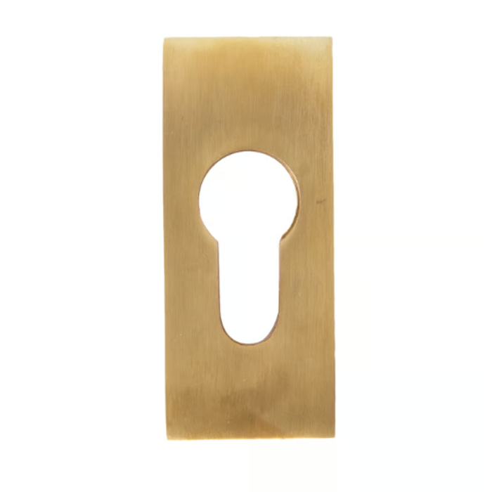 Dauby Piece of safety rosette brushed brass (OS)