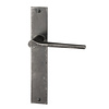 HALCO HALCÖ door handles Saalbach on shield - Raw steel