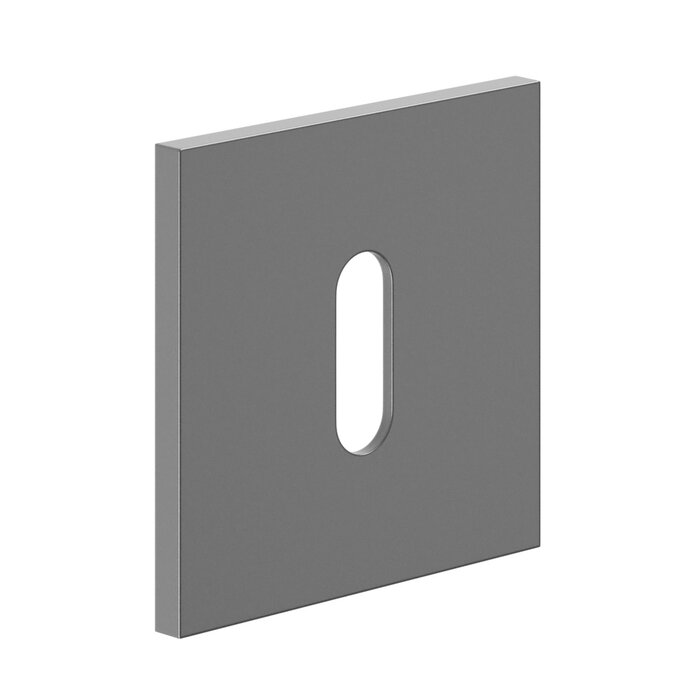 DnD Paire de plaques de clé pour poignée de porte 'Luxe' Graphite PVD