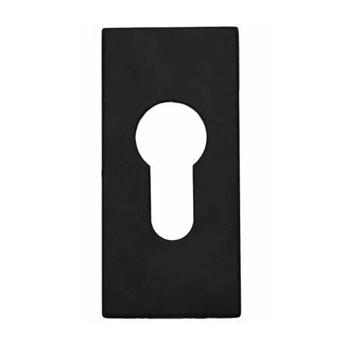 Formani Plaque cylindrique rectangulaire Basics LSQBY32 NM - Noir mat