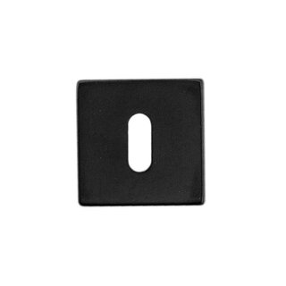 HDD 1 Sleutelplaatje Shape/Hollow UV structuur zwart