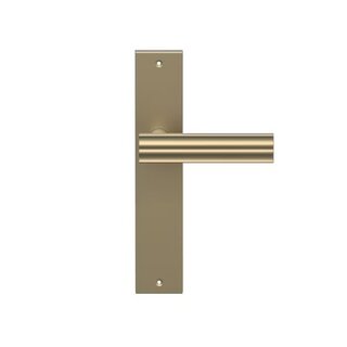 DKS ANDROMEDA door handles on a shield - matt gold