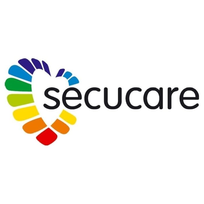 SECUCARE Support mural SECUCARE 30 cm en inox 304 Ø25 mm - Structure noir mat