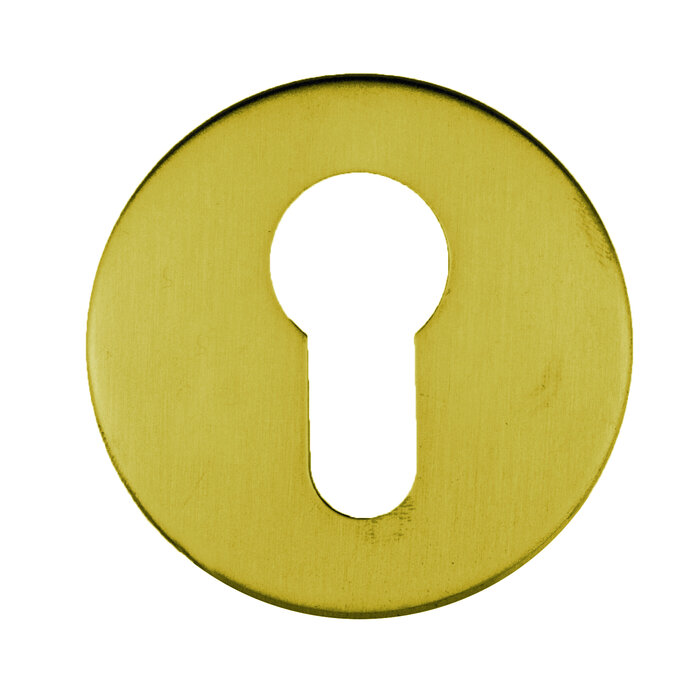 HDD 1 Cilinderplaatje mat goud Ø 55mm