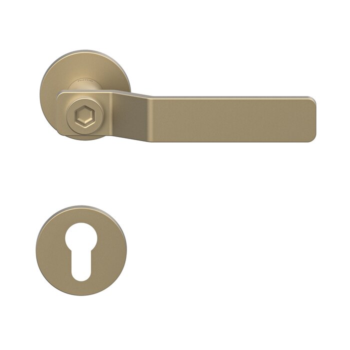 DKS Matt gold door handles GAS round