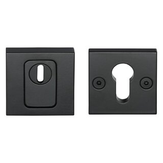 Formani Plaque de protection pour cylindre de sécurité Basics BSQVEIL-KT solide SKG*** Métal canon PVD