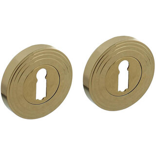 Intersteel Intersteel key plates with cams 55x10mm brass PVD