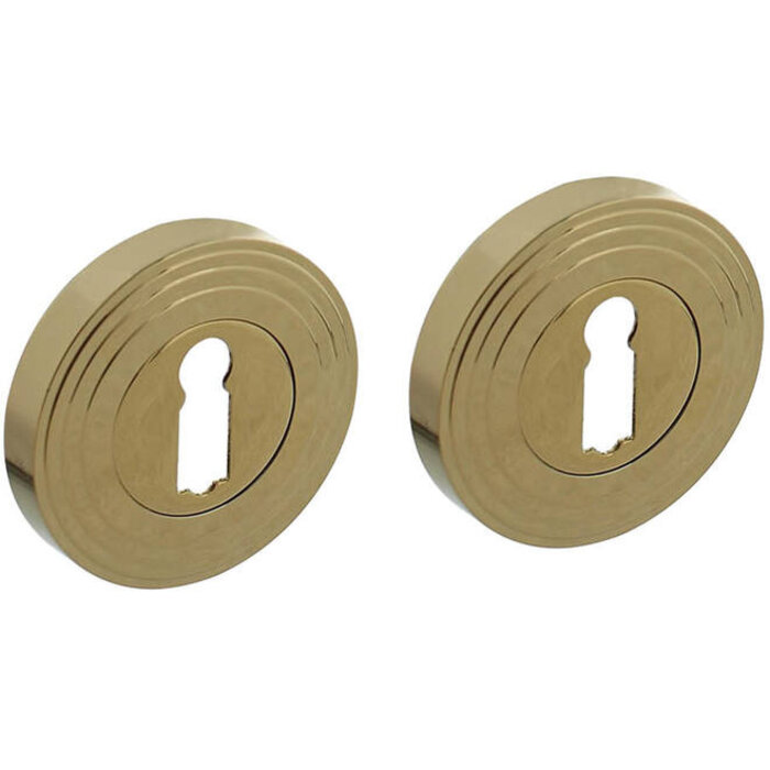 Intersteel Intersteel key plates with cams 55x10mm brass PVD