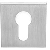 Formani 1 Zylinderplatte quadratisch LSQBY50 quadratisch - PVD mattierter Edelstahl