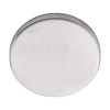 Formani 1 Basics LBB50 Blindplatte, 6 mm dick - Edelstahl matt