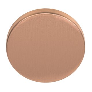 Formani 1 Basics LBB50 blind plate thick 6 mm - PVD matt bronze