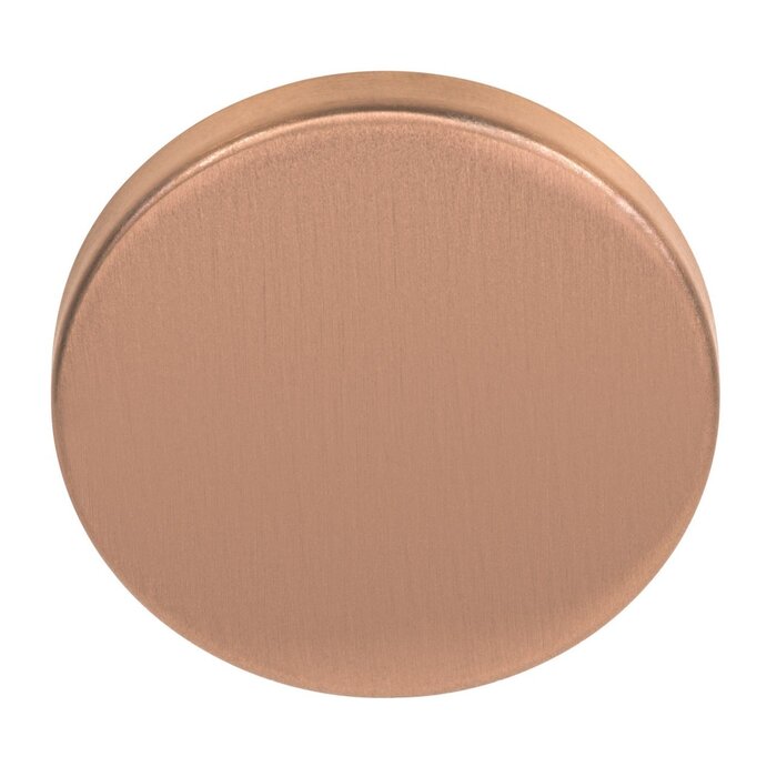 Formani 1 plaque aveugle Basics LBB50 6 mm d'épaisseur - Bronze mat PVD