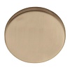 Formani 1 Basics LBB50 blind plate, 6 mm thick - PVD light bronze