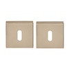 Formani Key plates Basics BSQ N53 BL - PVD light bronze