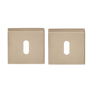 Formani Sleutelplaatjes Basics BSQ N53 BL - PVD licht brons