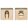 Formani Square toilet set BSQWC53 BL - PVD light bronze - with indicator