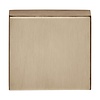 Formani 1 Basics BSQB53 blank plate 10 mm - square - PVD light bronze