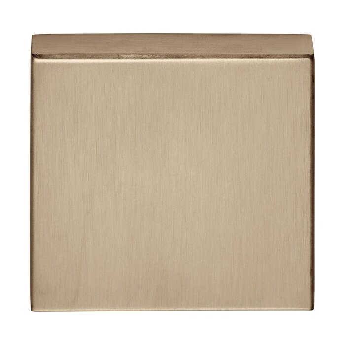 Formani 1 Basics BSQB53 blank plate 10 mm - square - PVD light bronze
