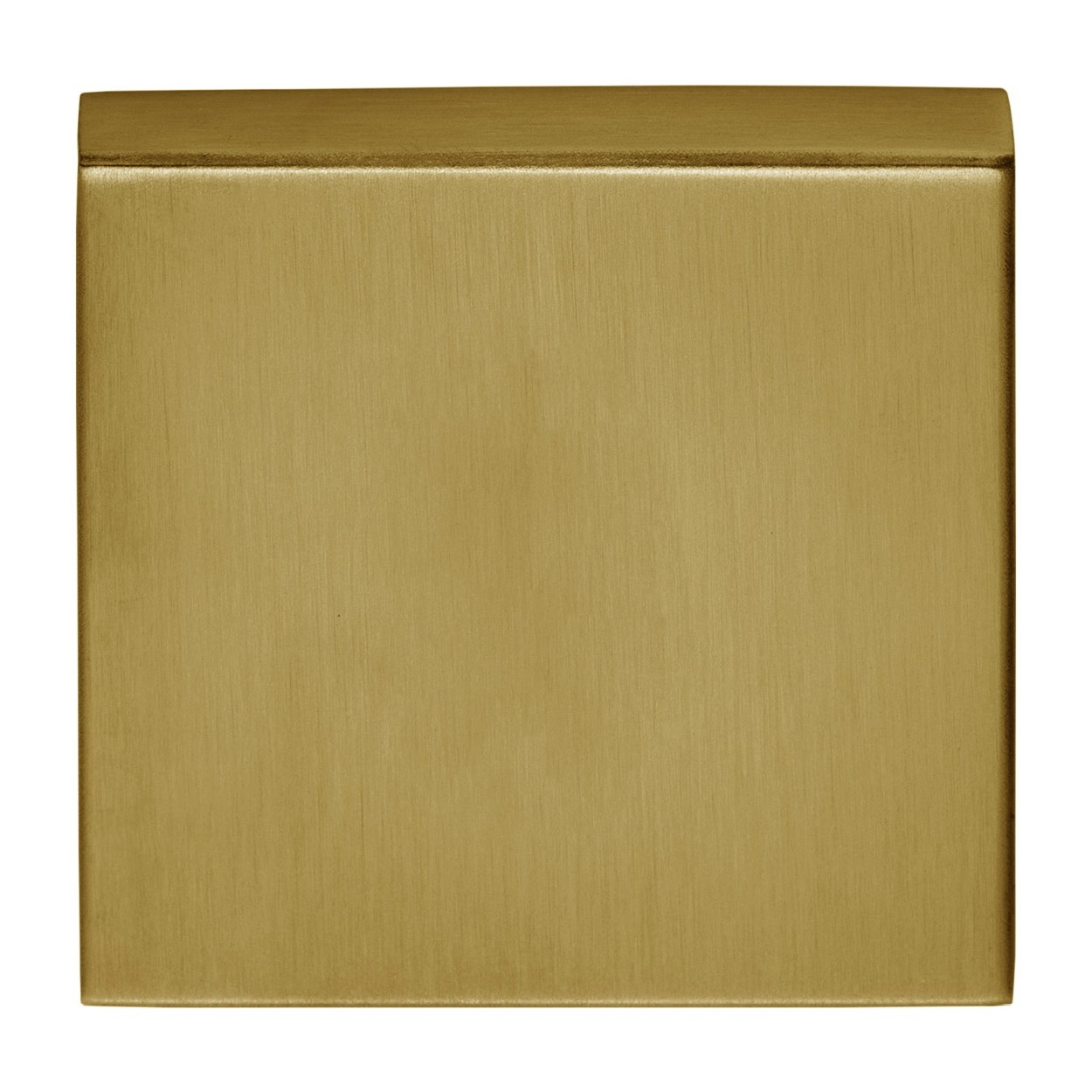 1 Basics BSQB53 blind plaatje 10 mm - vierkant - PVD mat goud