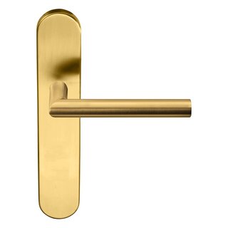 Formani Poignées de porte Basics LB2-19P13SFC sur rosace aveugle - Or mat PVD
