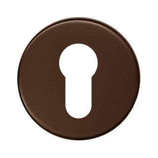 HDD 1 cilinderplaatje rond Shape mat brons