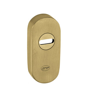 JNF Architectural Hardware JNF security shield for Euro profile cylinder – Gold PVD