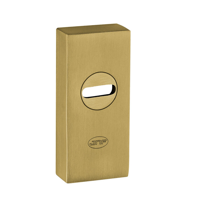 JNF Architectural Hardware Plaque de sécurité rectangulaire JNF pour cylindre à profil européen – PVD or