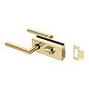 JNF Architectural Hardware JNF ALL IN Glastürschloss mit Türgriffen + Zylinder - Gold PVD