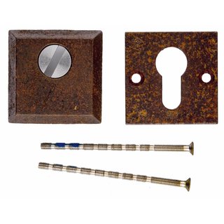 HDD ENTREE CYLINDRE DE SECURITE SQUARE SAFE ROUILLE 8MM