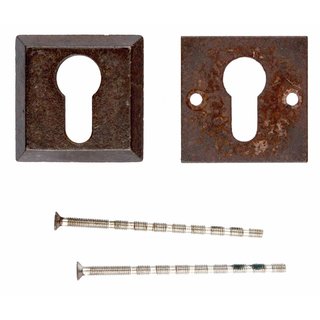 HDD VEILIGHEIDSCYLINDER PLAATJE SQUARE ROEST 10MM