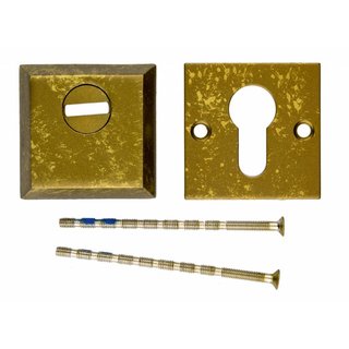 HDD VEILIGHEIDSCYLINDER PLAATJE SQUARE SAFE OLD YELLOW 8MM