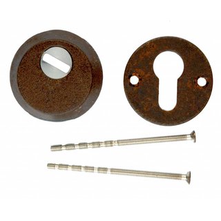 HDD VEILIGHEIDSCYLINDER PLAATJE SAFE ROEST 6MM