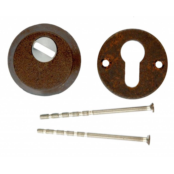 HDD VEILIGHEIDSCYLINDER PLAATJE SAFE ROEST 6MM