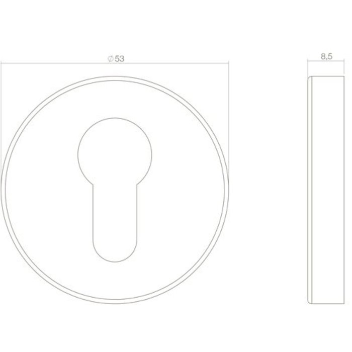 Intersteel Pair of Intersteel Rosette with profile cylinder hole - black structure