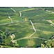 Borgogno Francesco Barolo Borgogno Francesco Borgogno Francesco Barolo Borgogno Francesco