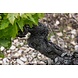 Calmel & Joseph Les Arques Minervois Calmel & Joseph Les Arques Minervois
