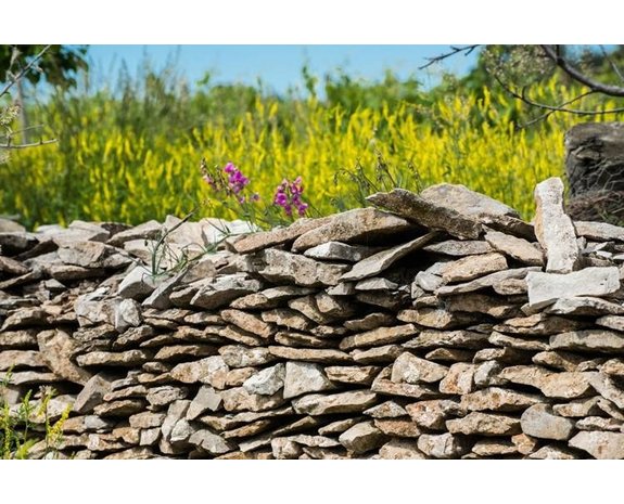 Calmel & Joseph Saint Chinian – Le bric à brac