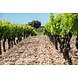 Calmel & Joseph Vieille Grange Fines Roches Merlot Calmel & Joseph Vieille Grange Fines Roches Merlot