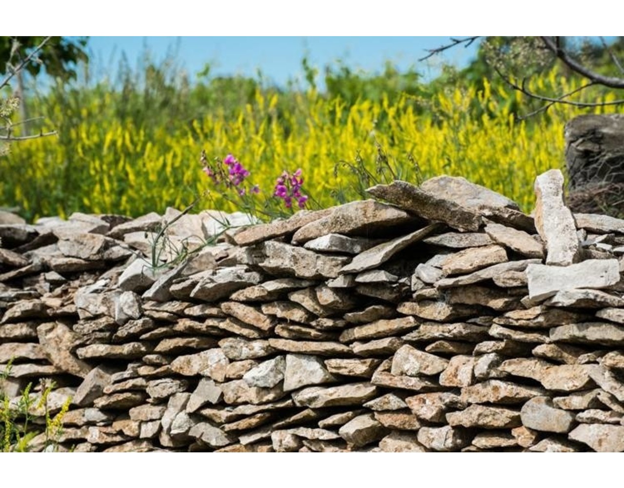 Calmel & Joseph Amstramgram -  L'Epicurius - Malbec