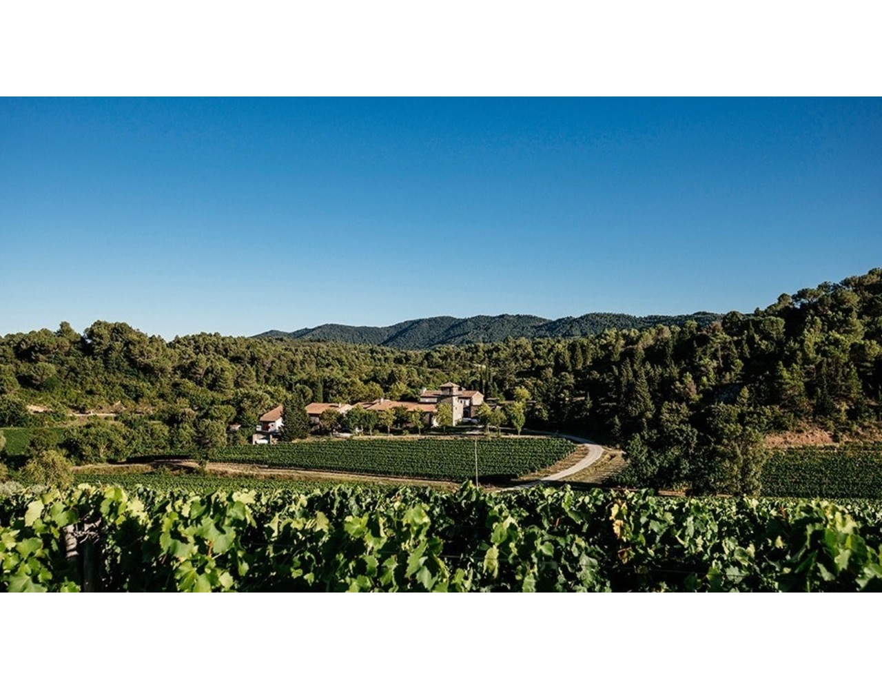 Calmel & Joseph La Magdeleine 2018