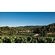Calmel & Joseph La Magdeleine 2018 Calmel & Joseph La Magdeleine 2018