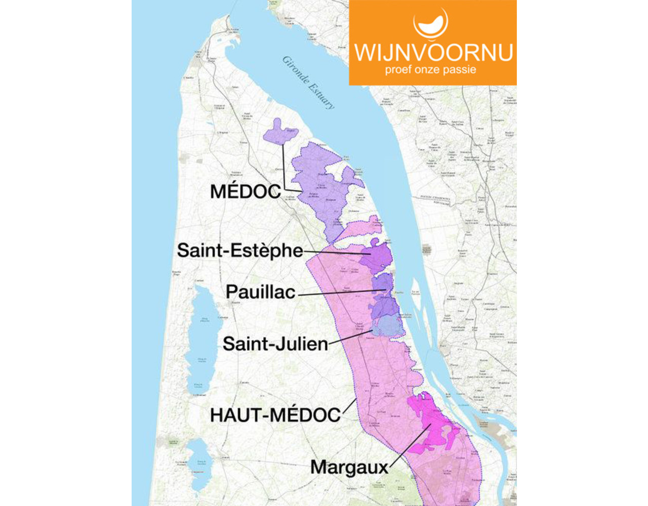 Château Saint Corbian 2015 Saint-Estâphe