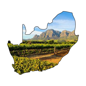 Zuid-Afrikaanse wijn