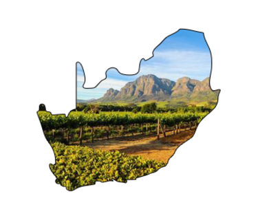Zuid-Afrikaanse wijn