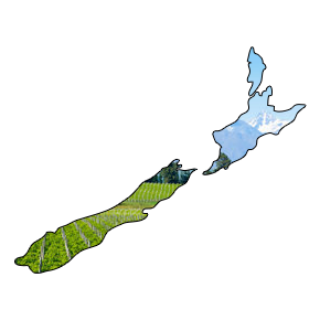 Nieuw Zeelandse wijn