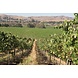 Wente Vineyards Wente Morning Fog Chardonnay Wente Vineyards Wente Morning Fog Chardonnay