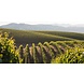 Wente Vineyards Wente Riva Ranch Reserve Chardonnay Wente Vineyards Wente Riva Ranch Reserve Chardonnay