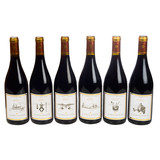 Calmel & Joseph Wijnpakket Les Terroirs Languedoc Roussillon