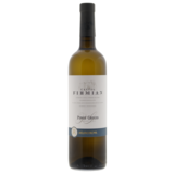 Mezzacorona Castel Firmian Pinot Grigio